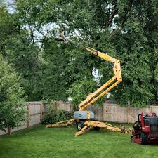 Best Weed Control  in Baltimore, OH