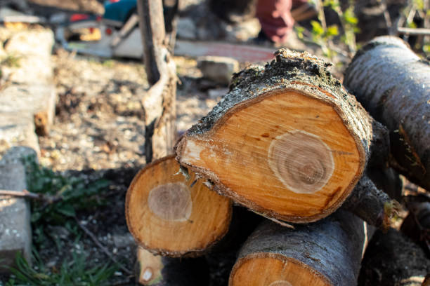 Best Aeration Services  in Baltimore, OH
