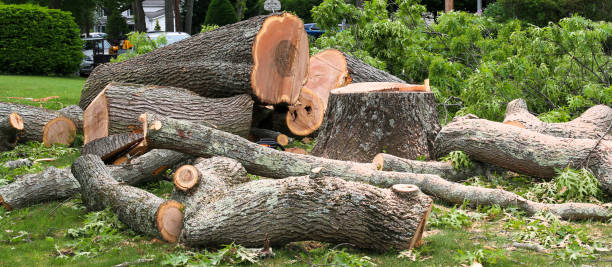 Best Firewood Processing and Delivery  in Baltimore, OH